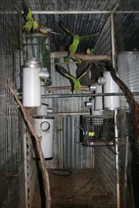 PVC Nest Boxes in avairy rosellas