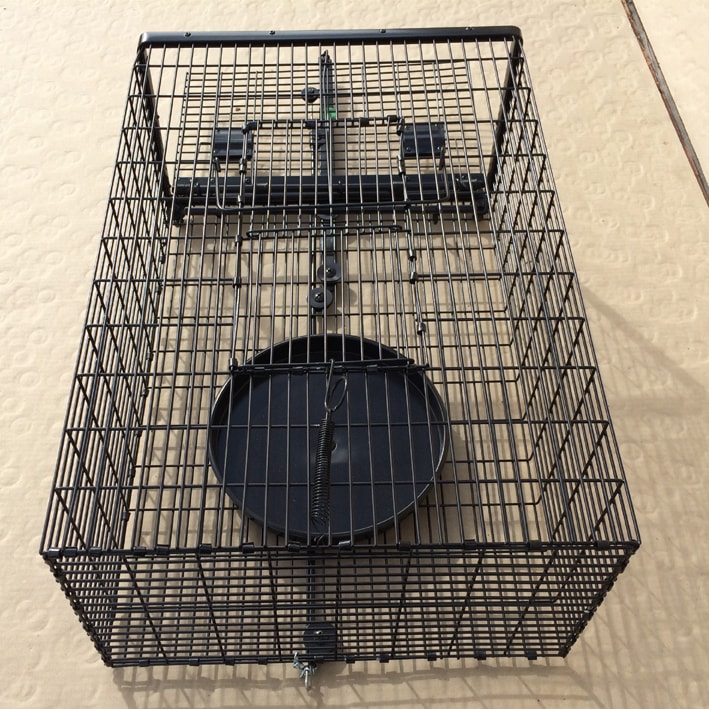 Back of manual and automatic vermin trap-min