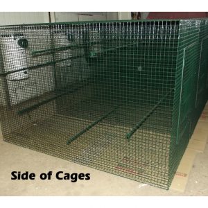 Side of Bird Cages