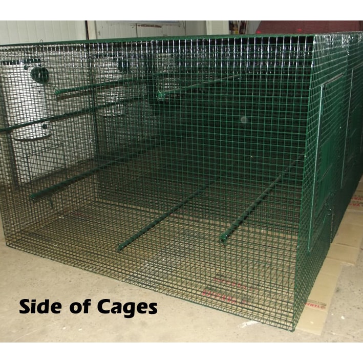 Side of Bird Cages