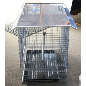 Side of chicken cage
