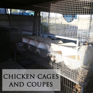 chicken cages and coupes